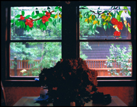 Interiors ~  Stained Glass