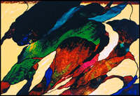 Interiors ~  Stained Glass