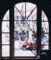 Interiors ~  Stained Glass