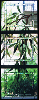 Stained Glass for Bathrooms